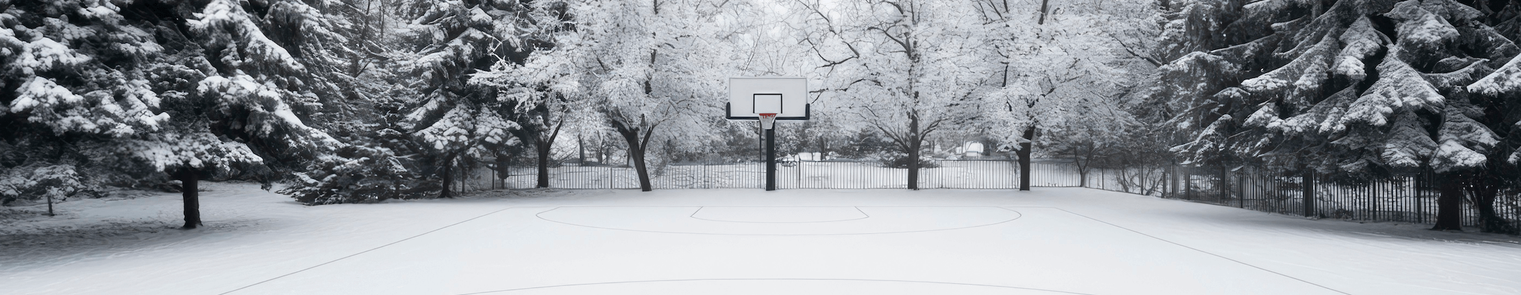 winterISA
